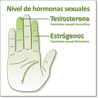 dedos-hormonas.jpg